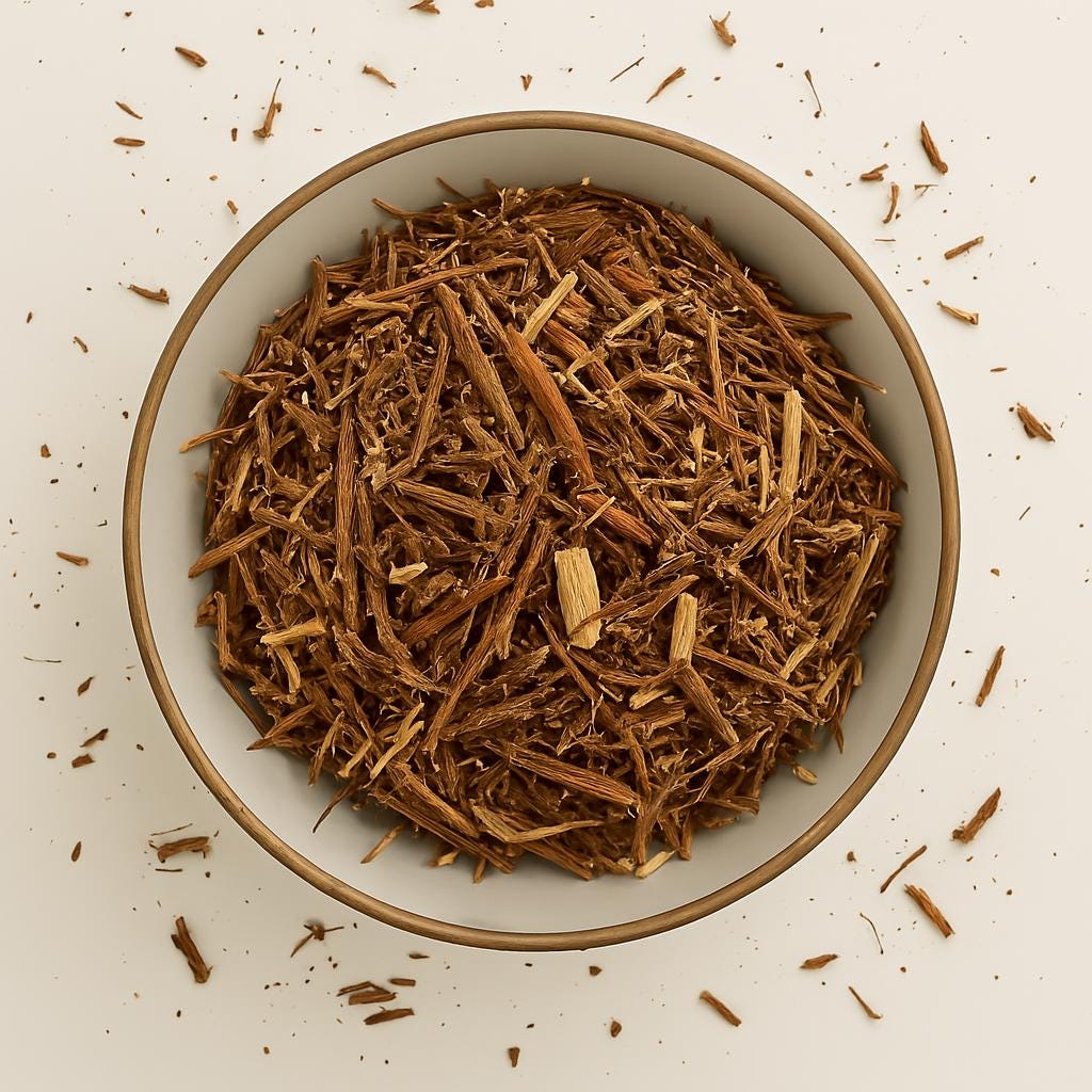 STONEBREAKER Dried Plant Chanca Piedra Phyllanthus niruri Windstorm Herbal Tea
