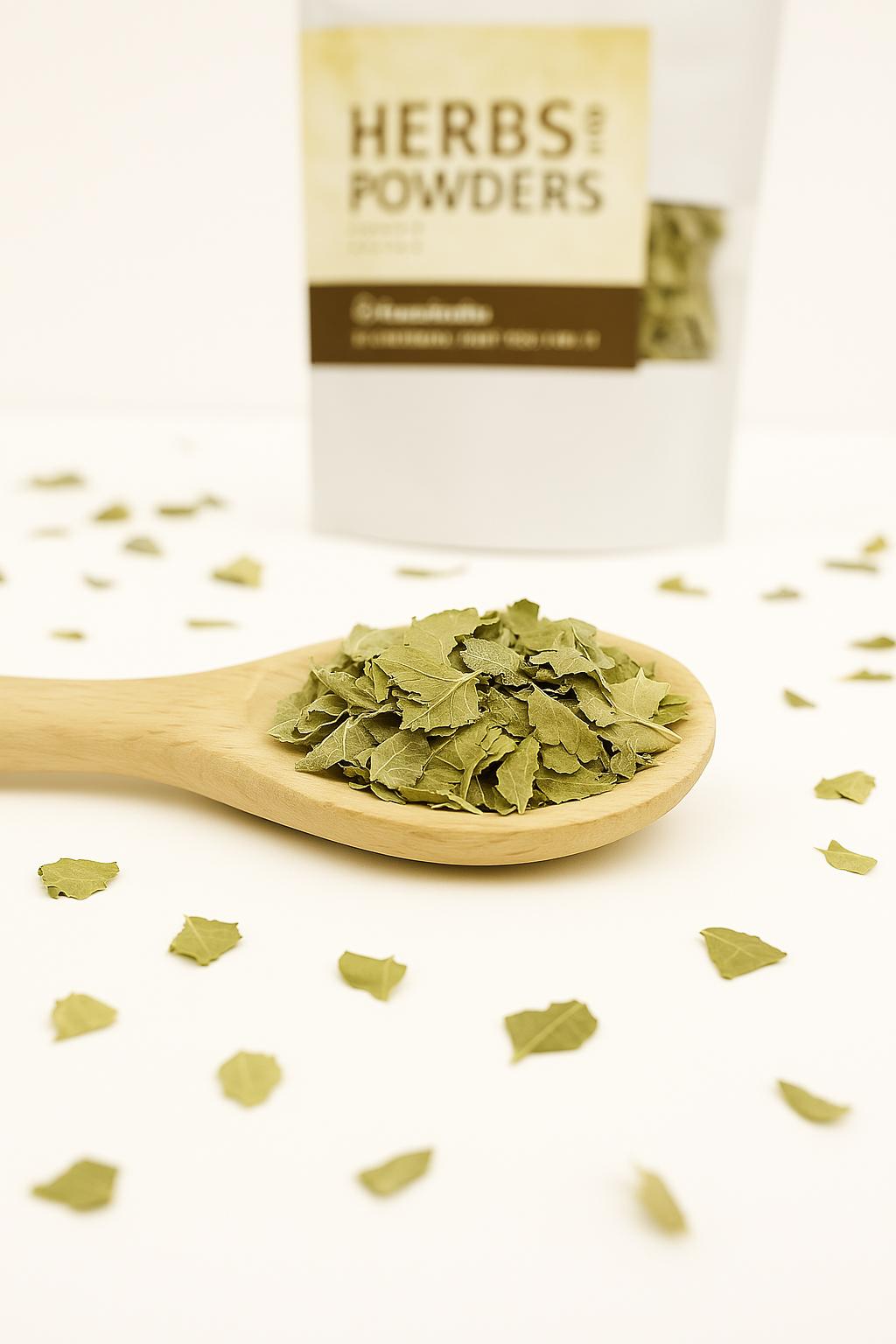 espinheira-santa-dried-herbal-tea-maytenus