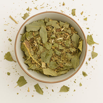 Congorosa Premium Herbal Tea Maytenus ilicifolia Espinheira Santa Cancrosa Maiteno Chuchuwasi Herbalism Sacred Ayurvedic