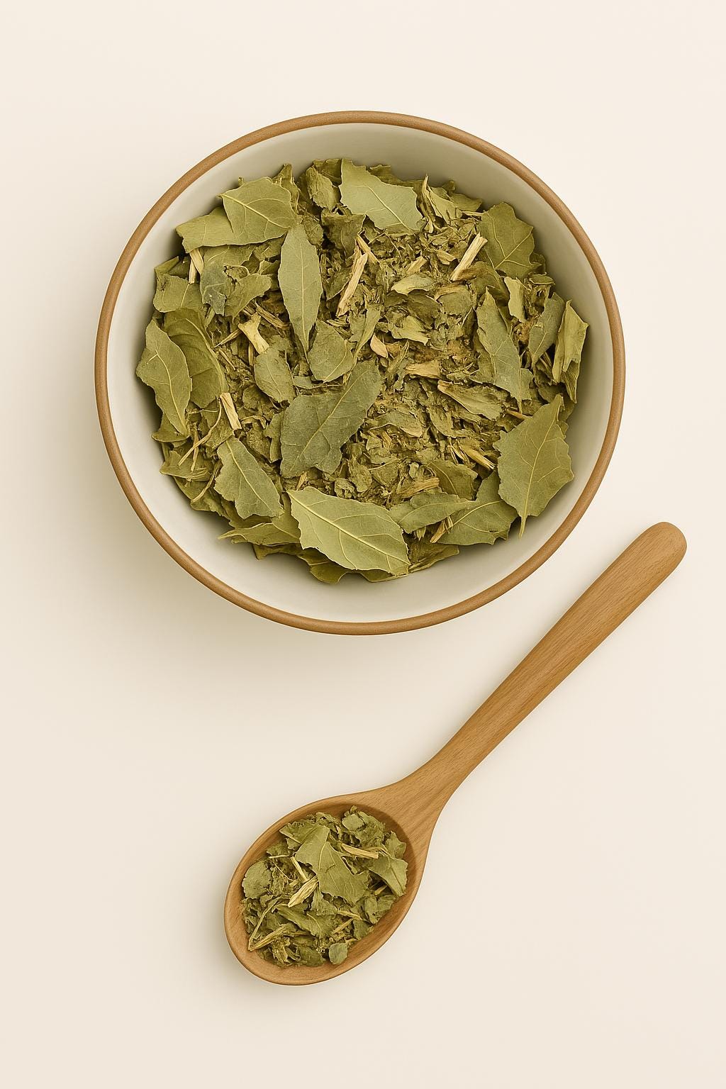 Congorosa Premium Herbal Tea Maytenus ilicifolia Espinheira Santa Cancrosa Maiteno Chuchuwasi Herbalism Sacred Ayurvedic