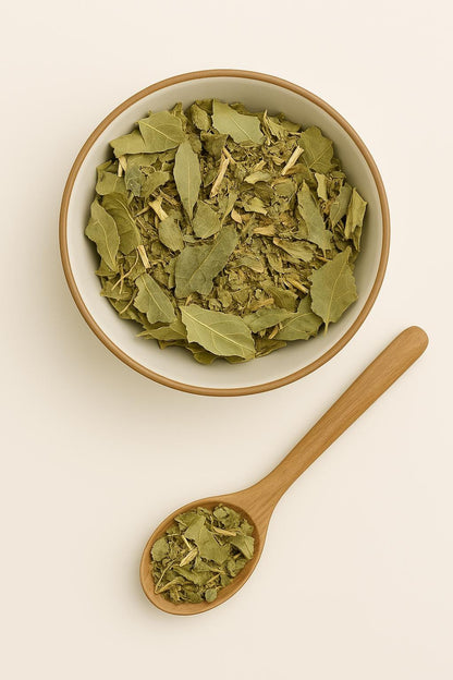 Congorosa Premium Herbal Tea Maytenus ilicifolia Espinheira Santa Cancrosa Maiteno Chuchuwasi Herbalism Sacred Ayurvedic